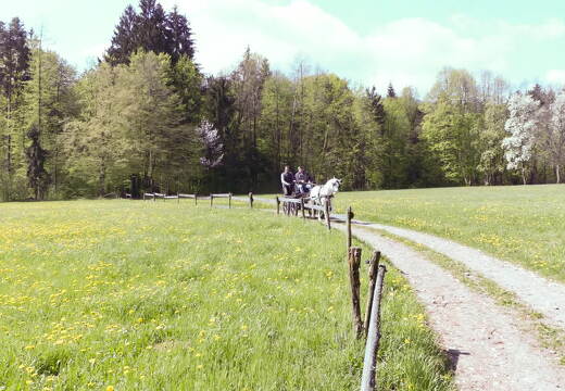 CHEVAUX & ATTELAGES